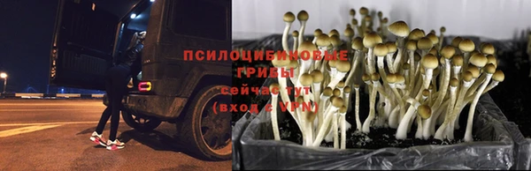 таблы Армянск