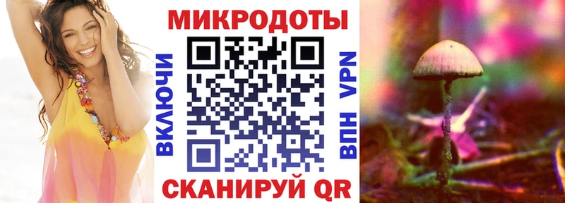 закладки  Тулун  Псилоцибиновые грибы GOLDEN TEACHER 
